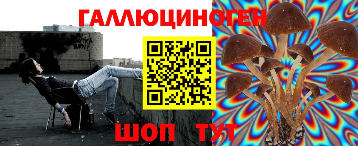 Галлюциногенные грибы Magic Shrooms Алексеевка